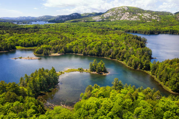 Killarney National Park: Exploring Mountains, Lakes, and Castles